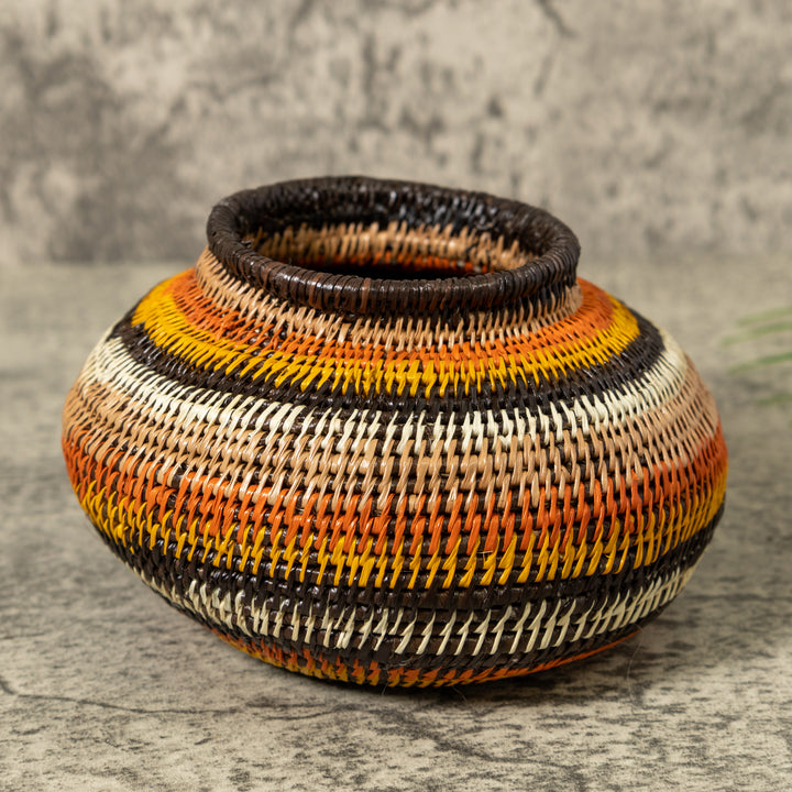 Rings of Fire Jungle Rainforest Basket