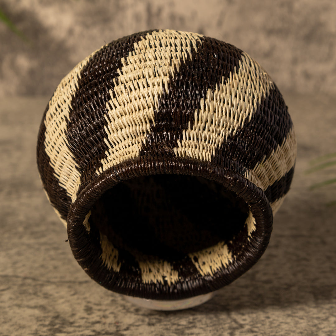 Spinner Swirl Rainforest Basket