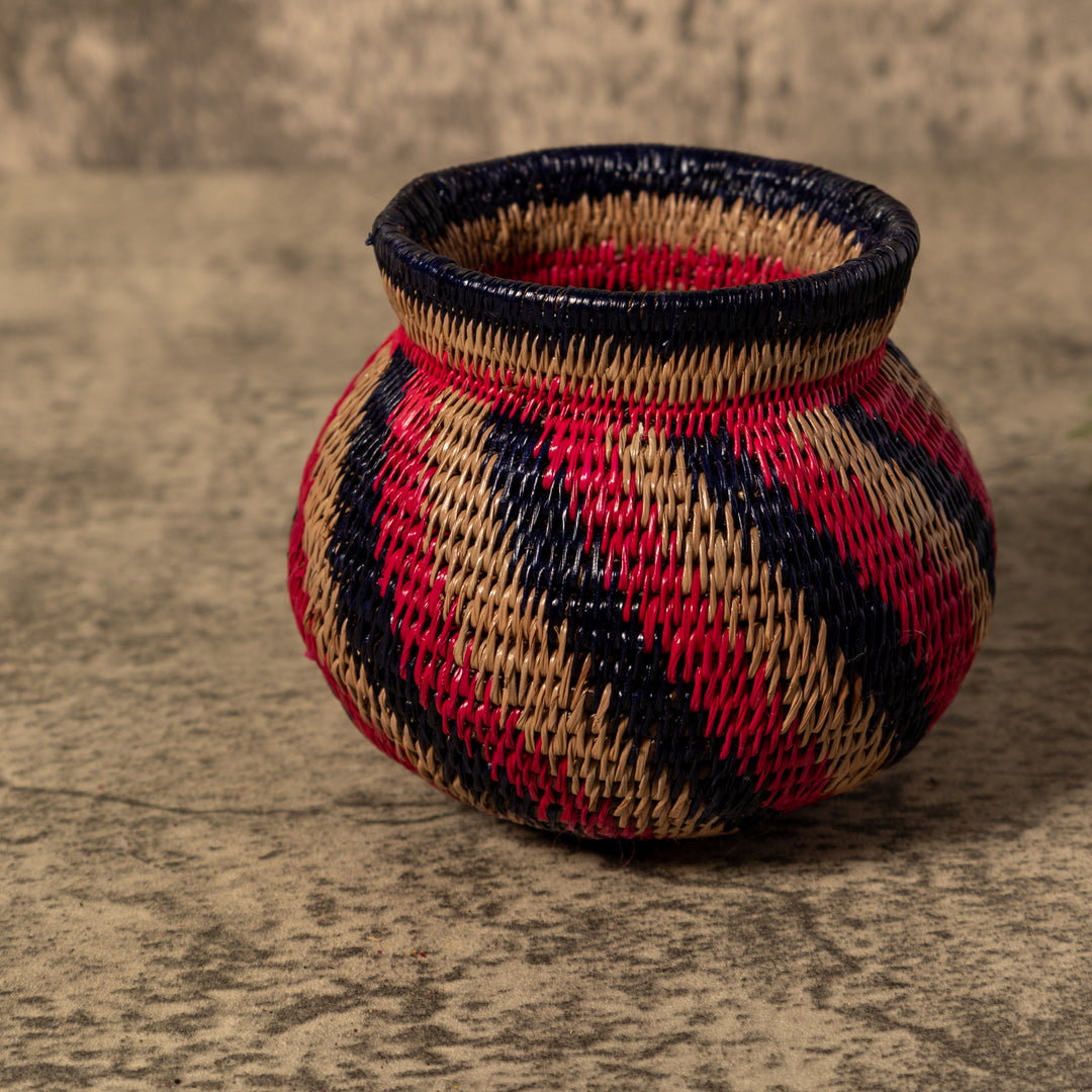Tropical Spiral Rainforest Basket