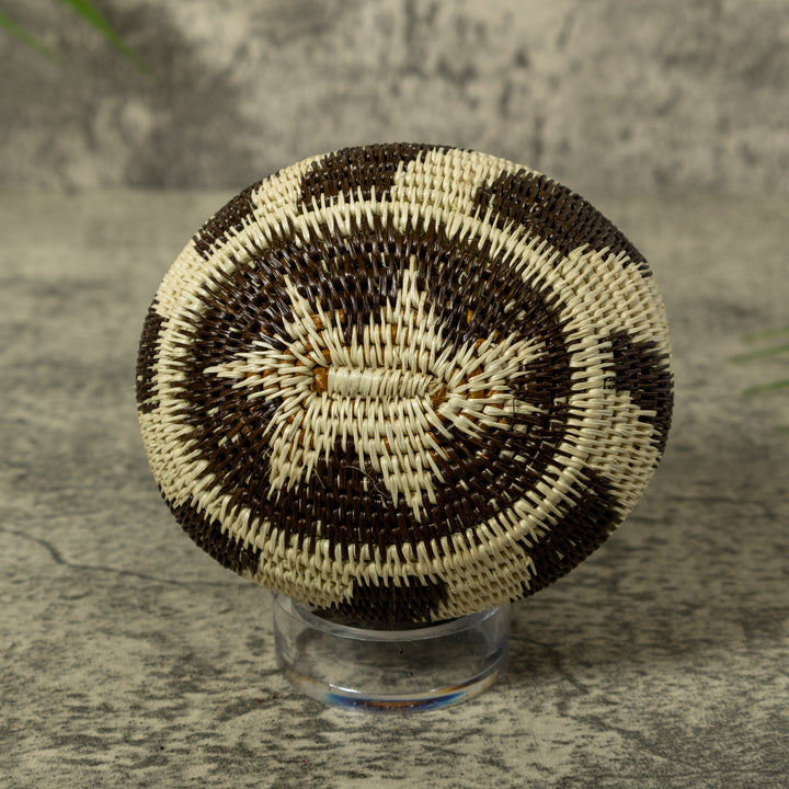 ZigZag Jungle Dream Rainforest Basket