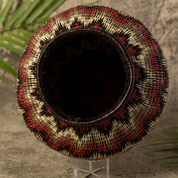 Angry Tropical Interlude Rainforest Basket