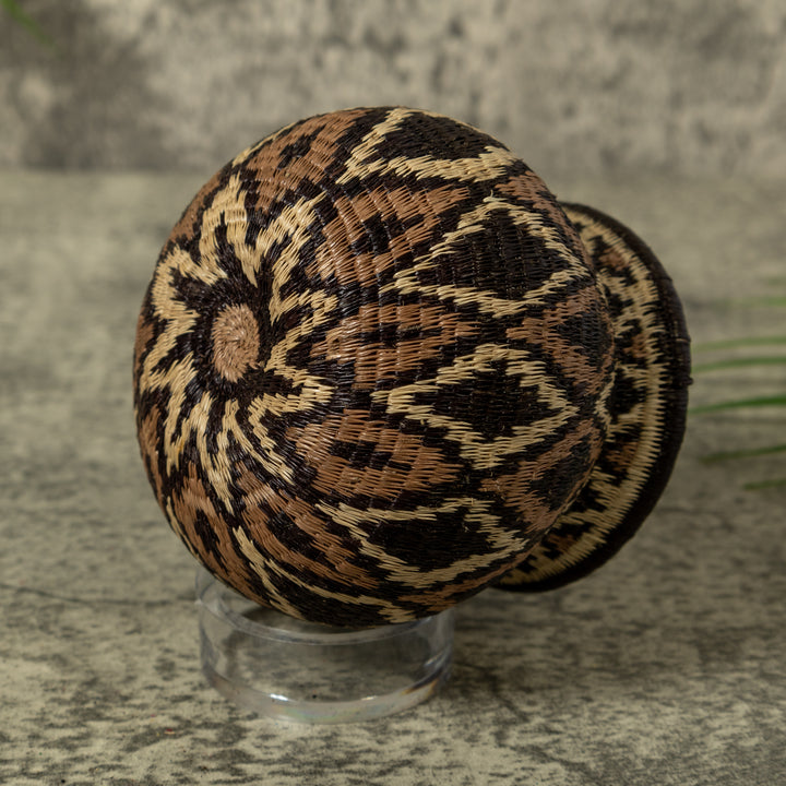 Brown And Black Forest Whisper Rainforest Basket