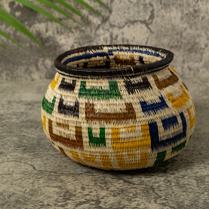 Multi-Color Horseshoe Rainforest Basket