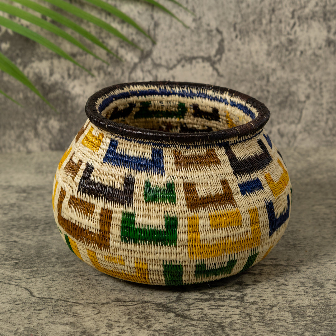 Multi-Color Horseshoe Rainforest Basket