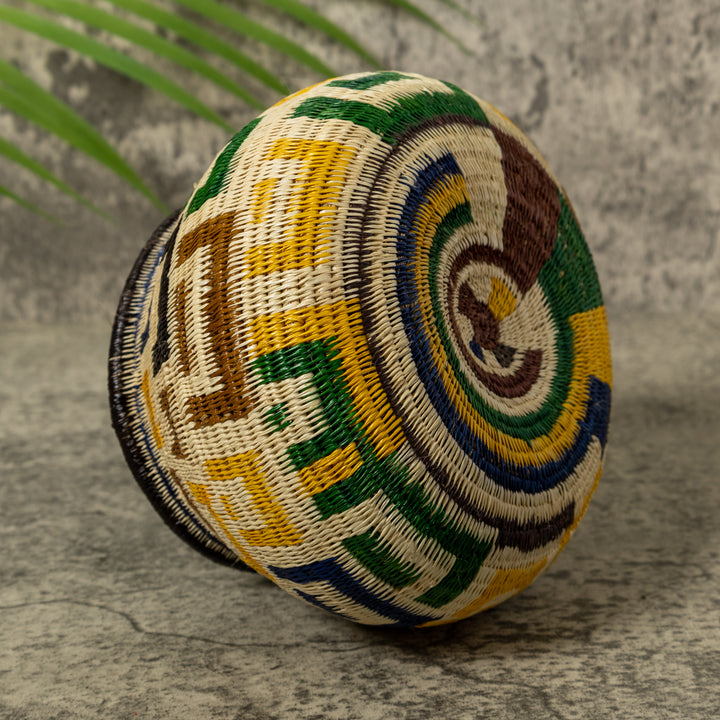 Multi-Color Horseshoe Rainforest Basket