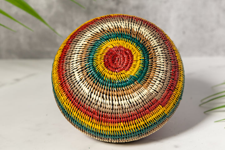 Rainbow Colors Basket With Top
