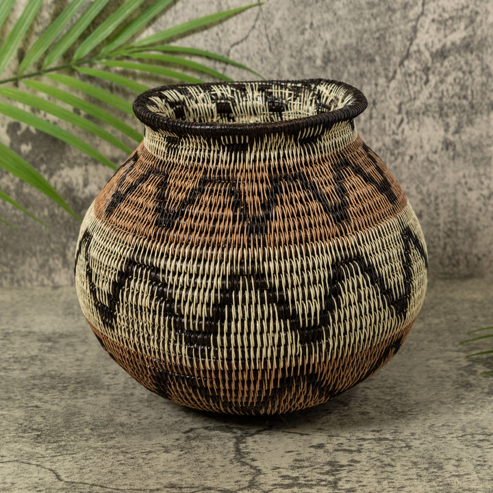 Black Volts of Lightning Rainforest Basket