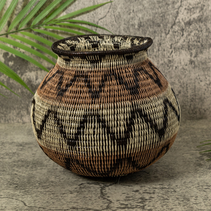 Black Volts of Lightning Rainforest Basket