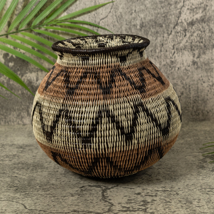 Black Volts of Lightning Rainforest Basket