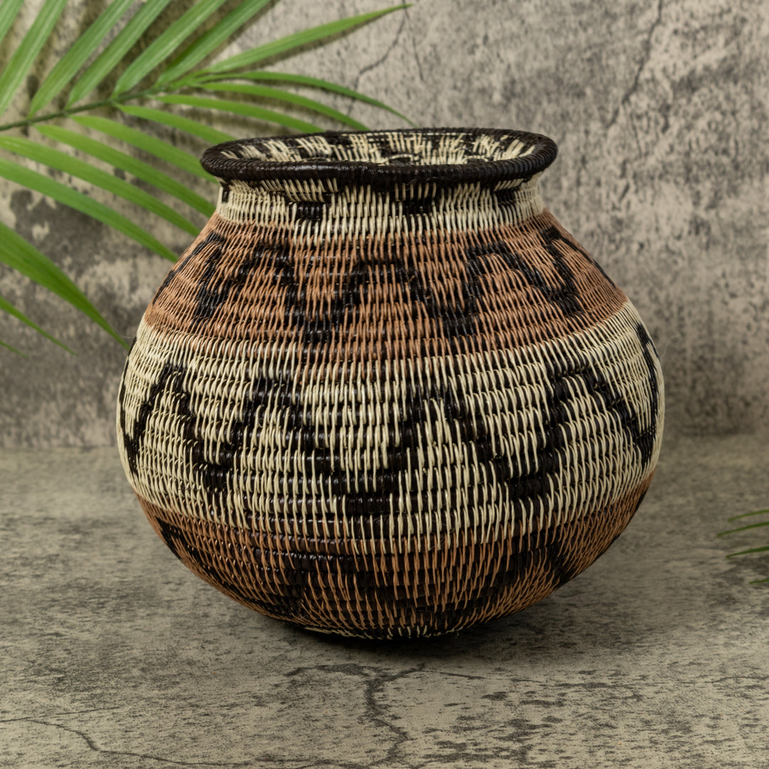 Black Volts of Lightning Rainforest Basket