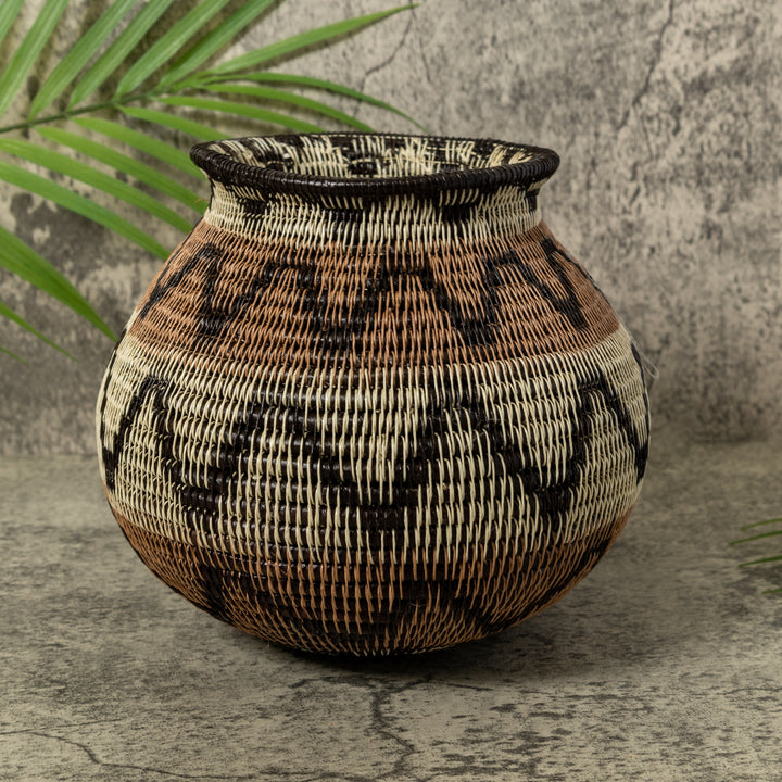 Black Volts of Lightning Rainforest Basket
