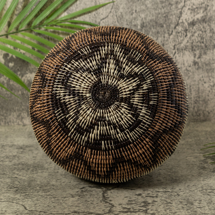 Black Volts of Lightning Rainforest Basket