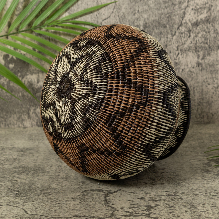 Black Volts of Lightning Rainforest Basket