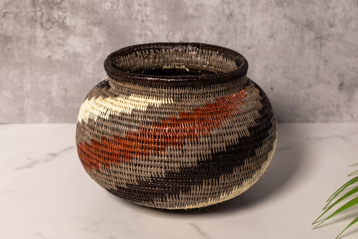 Spinning Tornado Rainforest Basket