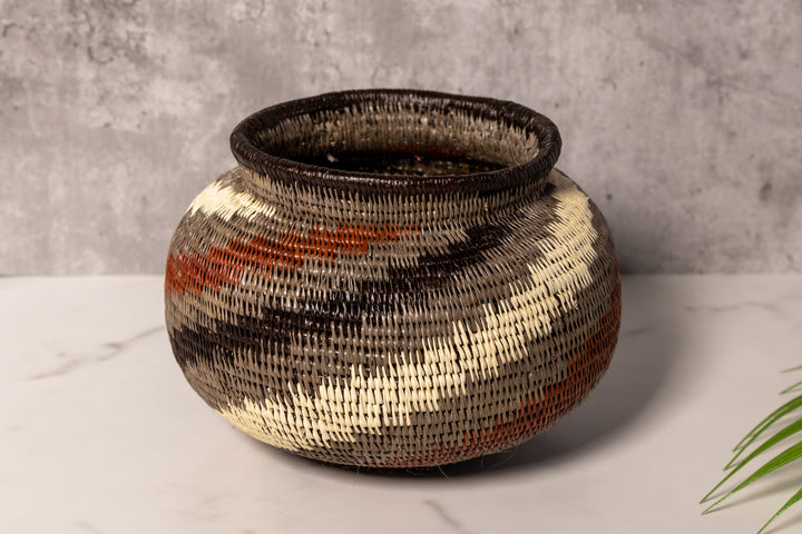 Spinning Tornado Rainforest Basket