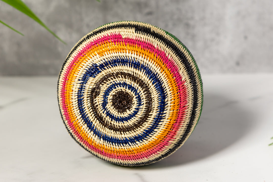 Rainbow Colors Rainforest Basket