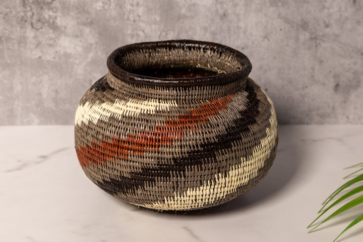 Spinning Tornado Rainforest Basket