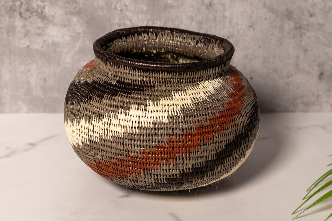 Spinning Tornado Rainforest Basket