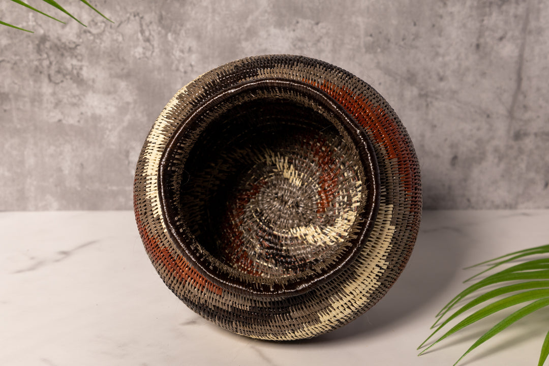 Spinning Tornado Rainforest Basket