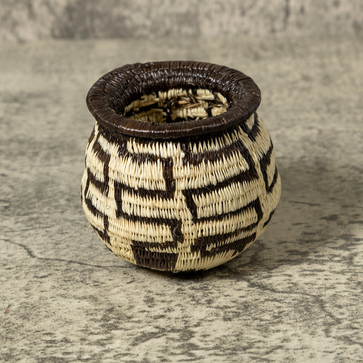 Black And White Turtle Shock Rainforest Basket