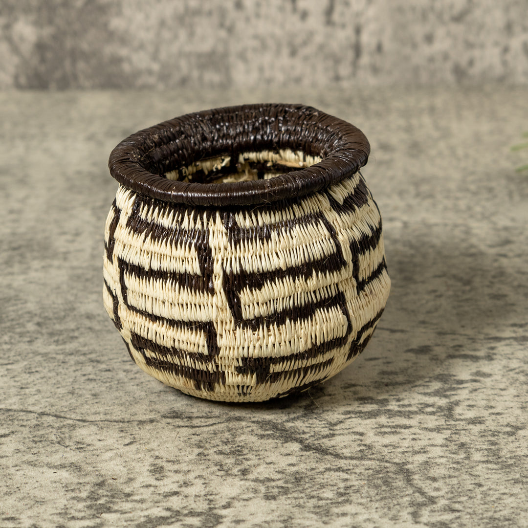 Black And White Turtle Shock Rainforest Basket