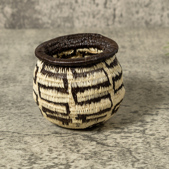 Black And White Turtle Shock Rainforest Basket