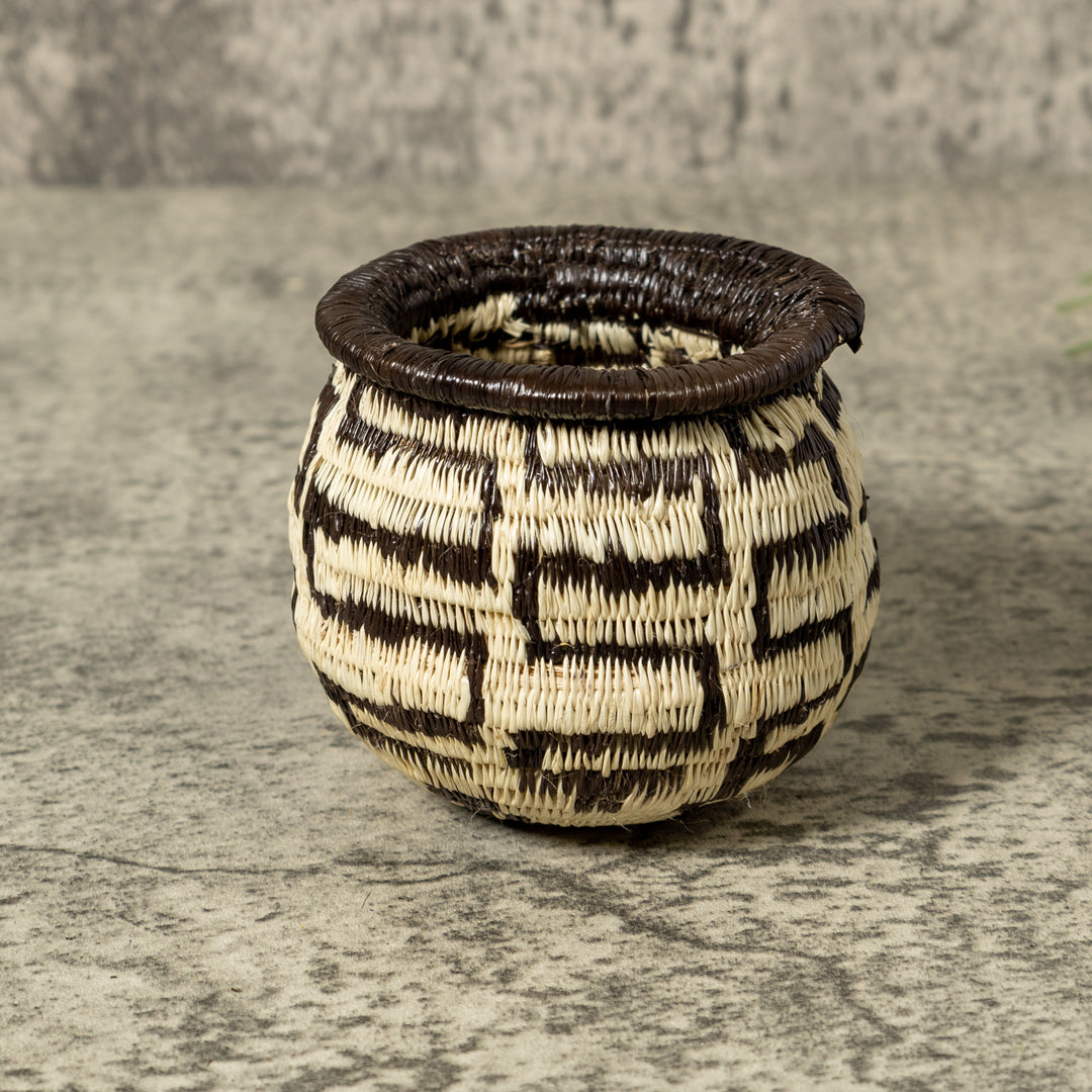Black And White Turtle Shock Rainforest Basket
