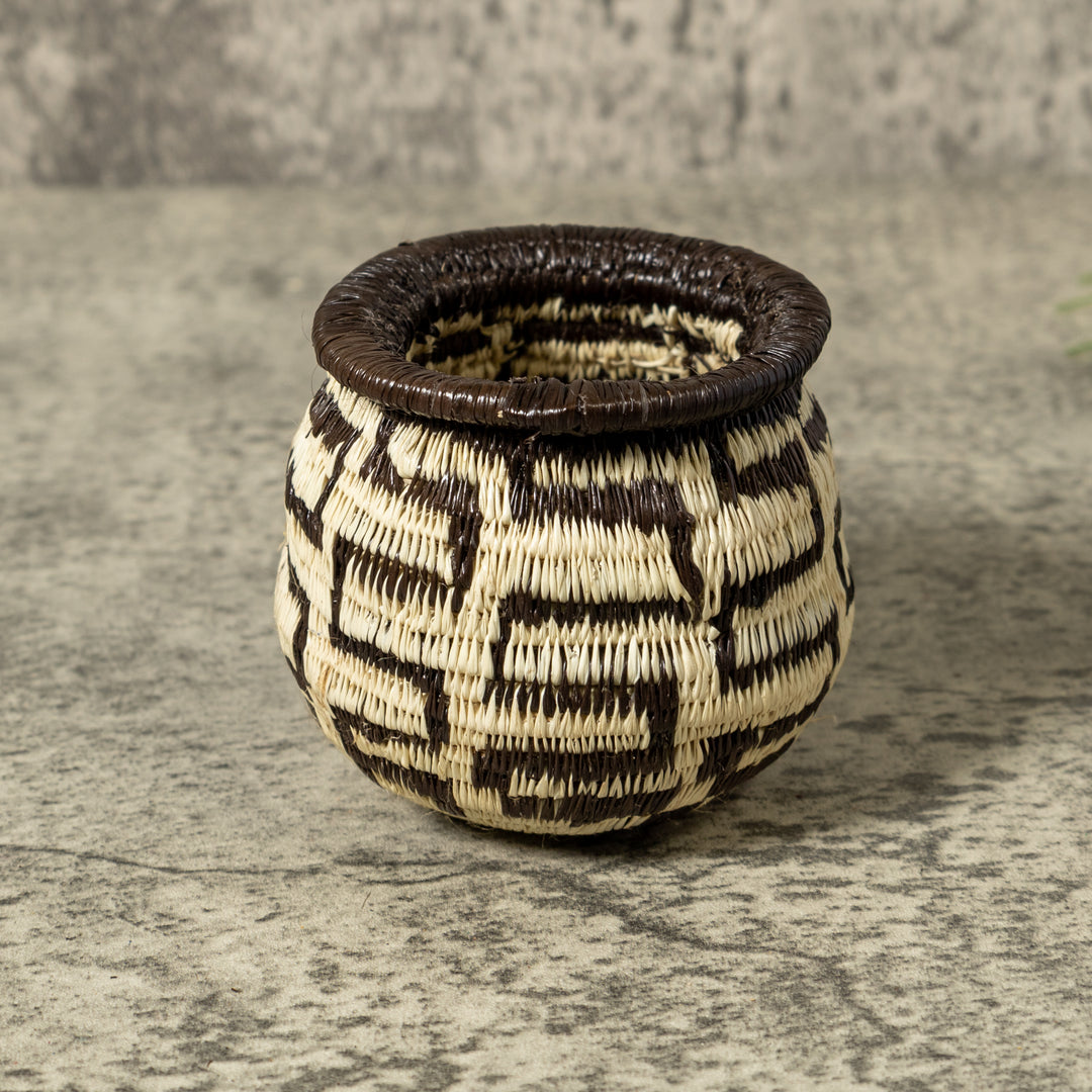 Black And White Turtle Shock Rainforest Basket