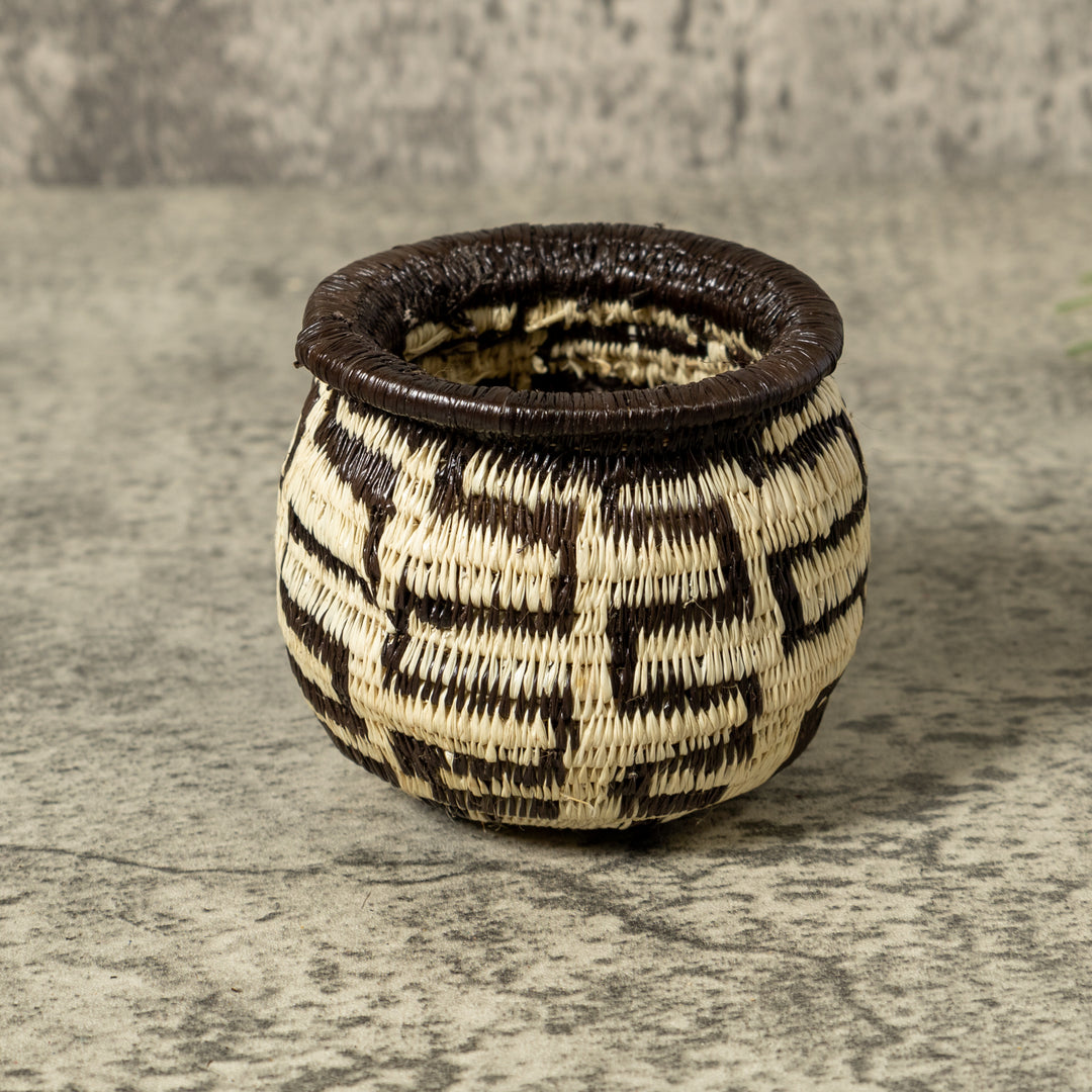 Black And White Turtle Shock Rainforest Basket