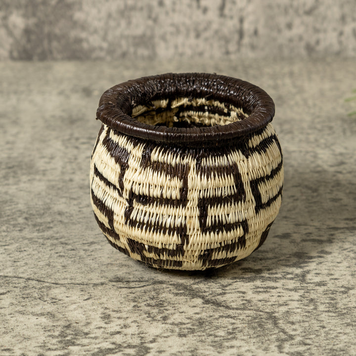 Black And White Turtle Shock Rainforest Basket