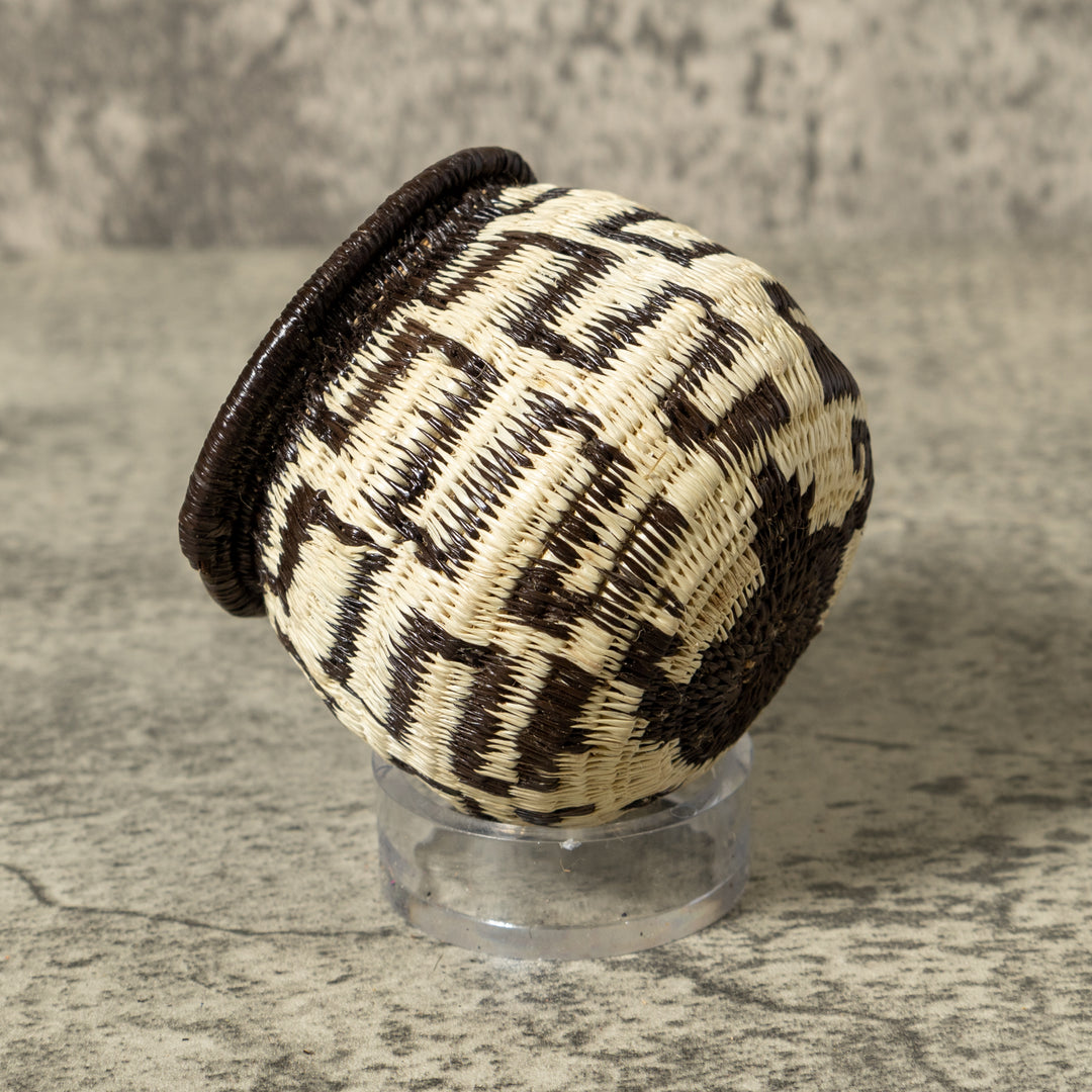 Black And White Turtle Shock Rainforest Basket