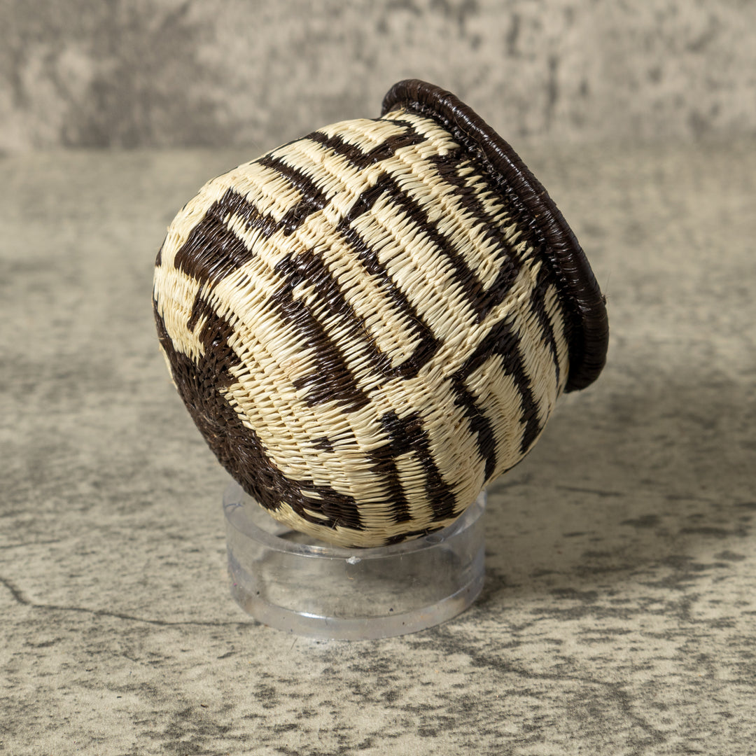Black And White Turtle Shock Rainforest Basket