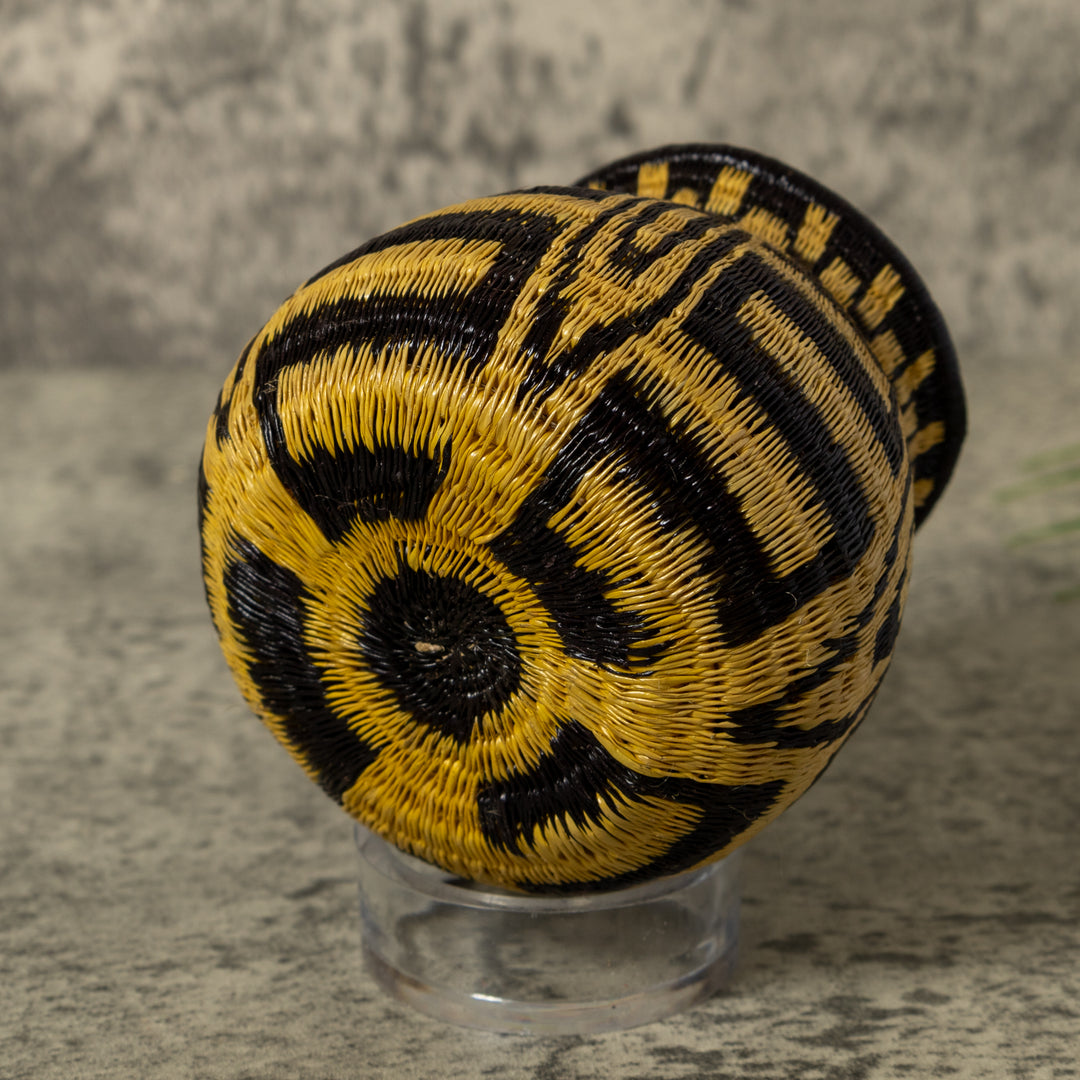 Black And Gold Exquisite Rainforest Basket