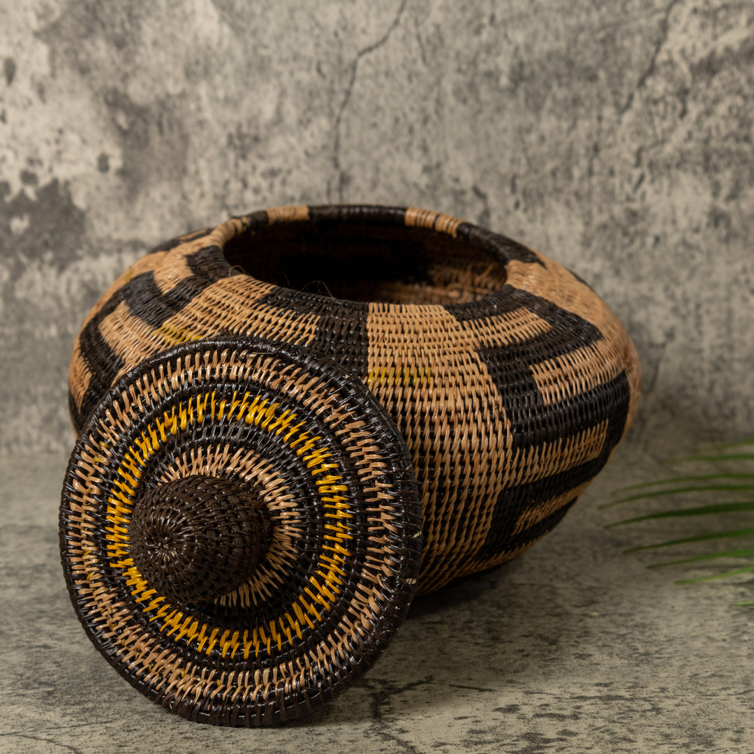 Black And Brown Snake Rainforest Basket With Top