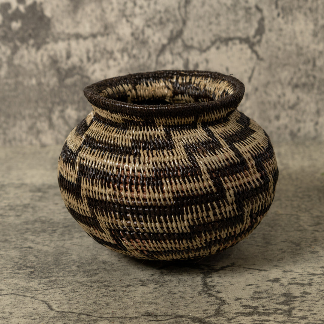 Black And Brown Sanke Spiral Rainforest Basket