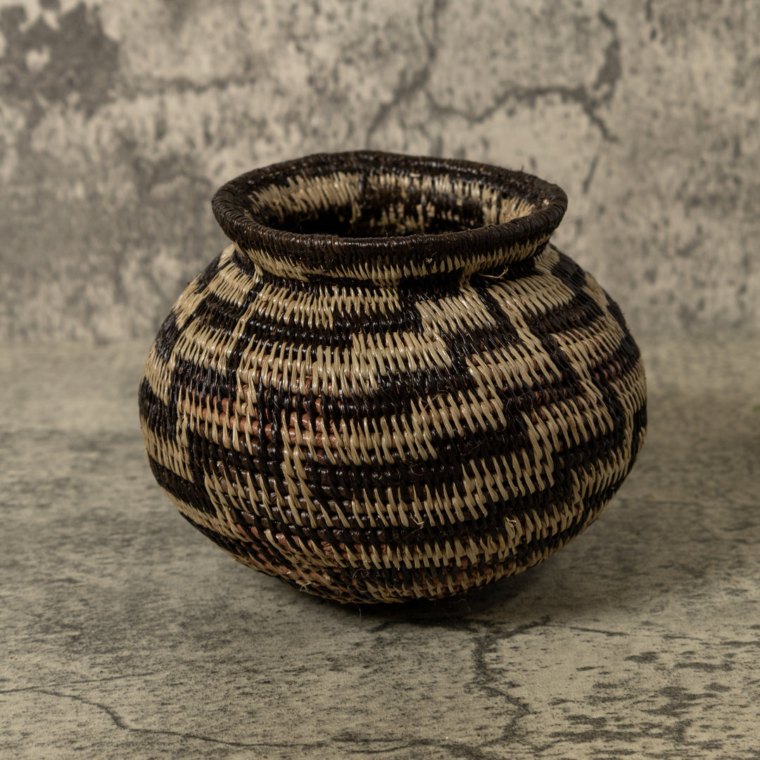 Black And Brown Sanke Spiral Rainforest Basket