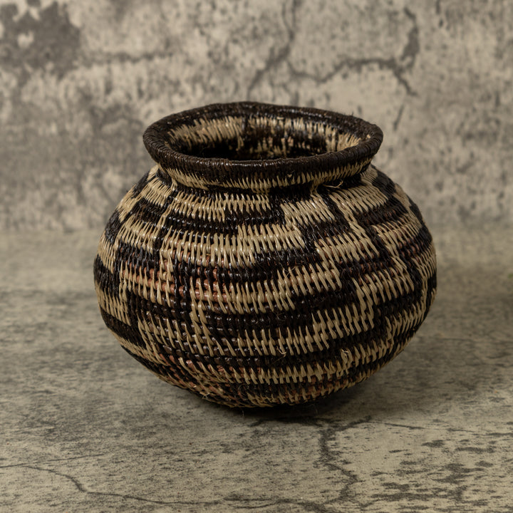 Black And Brown Sanke Spiral Rainforest Basket