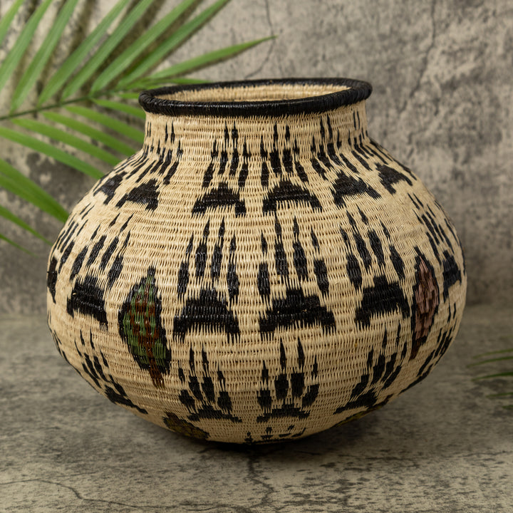Cat Claws Rainforest Basket