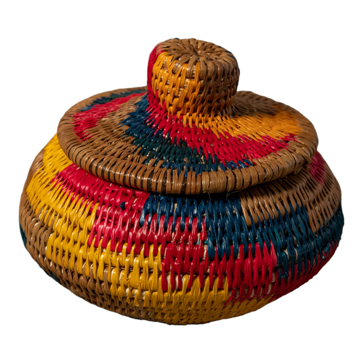 Rainbow of Colors Rainforest Basket With Top