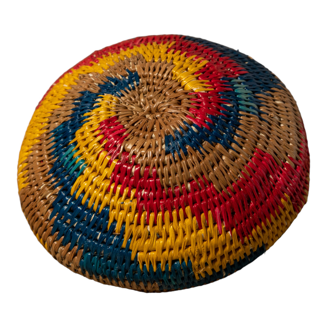 Rainbow of Colors Rainforest Basket With Top