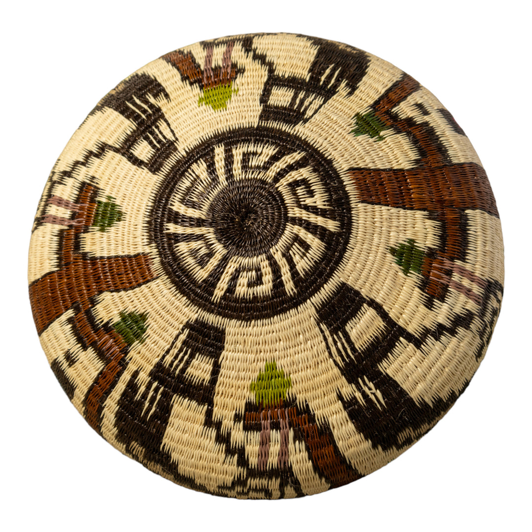 Harpy Eagle Rainforest Basket