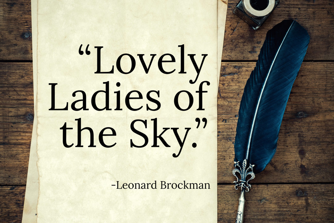 Lovely Ladies of the Sky