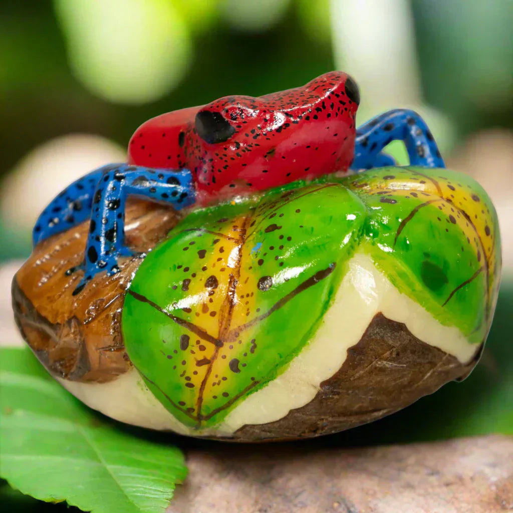 The Tagua Story: Sustainable Beauty from Panama's Rainforest
