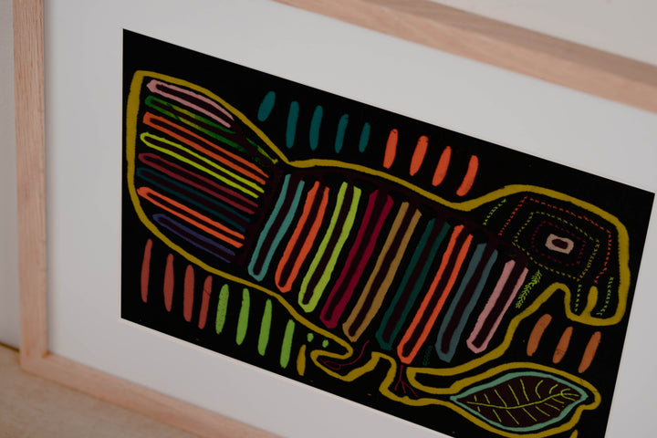 Rainbow Colors Partridge Jungle Bird Mola