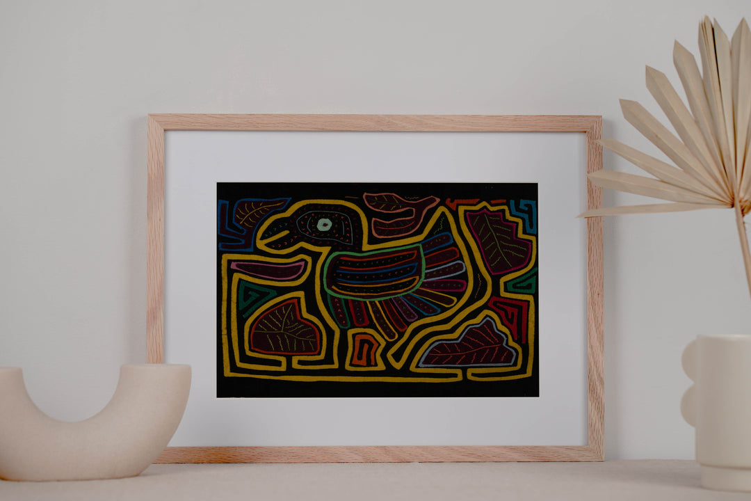 Classic Black And Yellow Rainforest Bird Mola