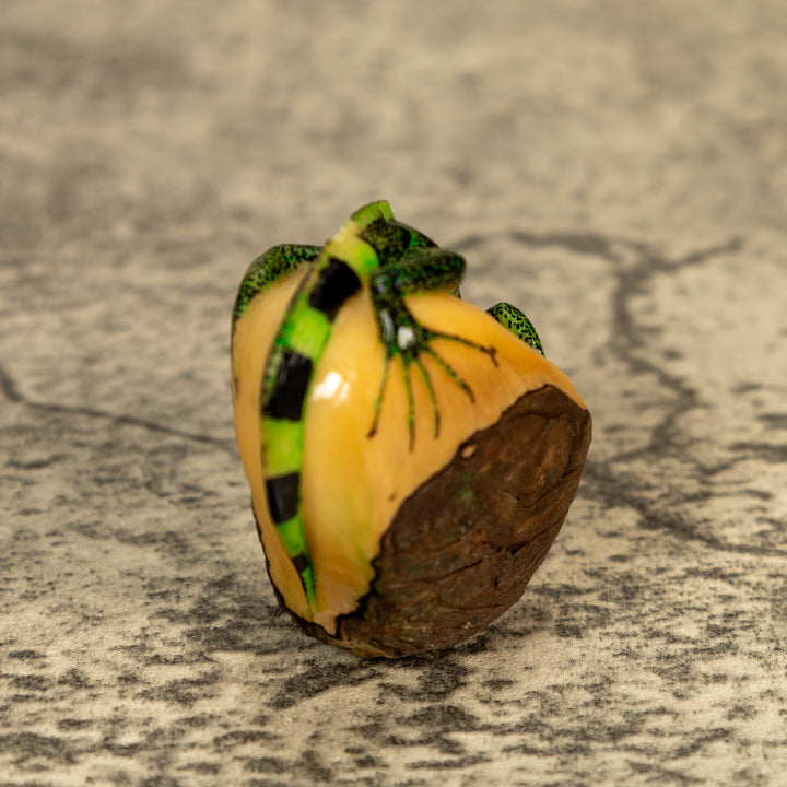 Green Iguana Lizard Tagua Nut Carving