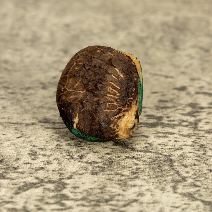 Green Iguana Lizard Tagua Nut Carving