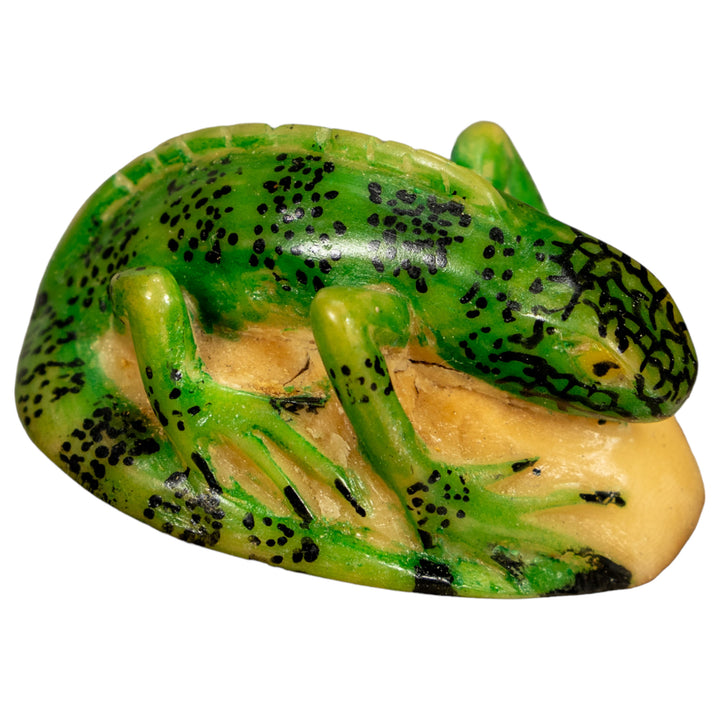 Green Iguana Lizard Tagua Nut Carving