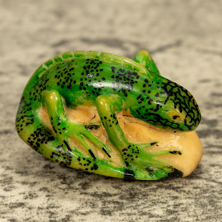 Green Iguana Lizard Tagua Nut Carving