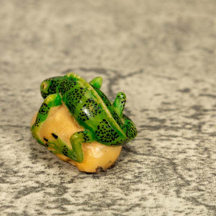 Green Iguana Lizard Tagua Nut Carving